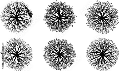 Top view set of black tree silhouettes, architectural plant symbols for landscape design, aerial garden plan vector icons on white.