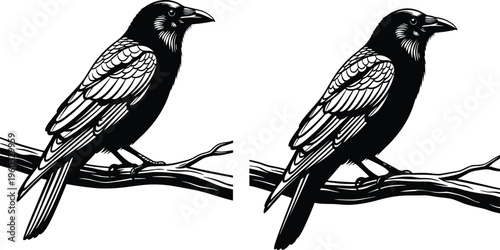 Two black raven birds sitting on tree branch woodcut style vector illustration isolated on white background for halloween design element.