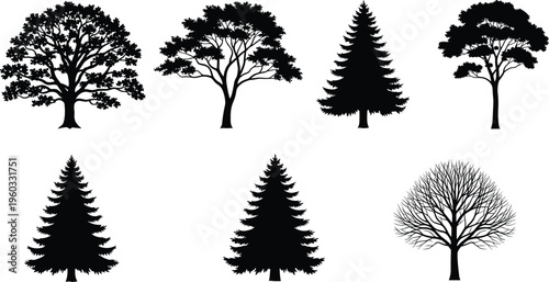 Various tree silhouettes set, detailed oak pine and deciduous tree shapes, botanical vector illustration for nature landscape design, woodcut style,