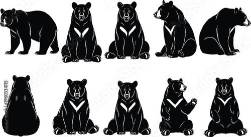 Vector set of wild safari animals including roaring lion, tiger, panther, gorilla and hippo, isolated on white for mascot logos.