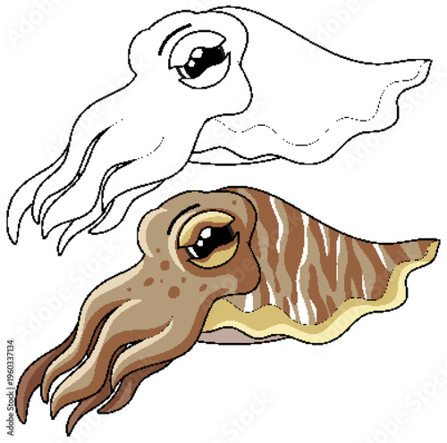 Cute Cartoon Cuttlefish Vector Illustration in Color and Line Art