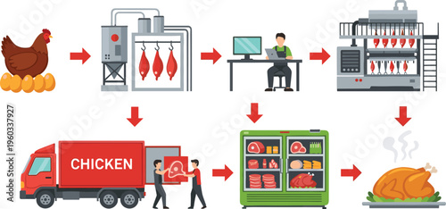 Chicken production process from poultry farm to processing factory, packaging, cold storage, delivery logistics and final cooked meal illustration showing complete food supply chain
