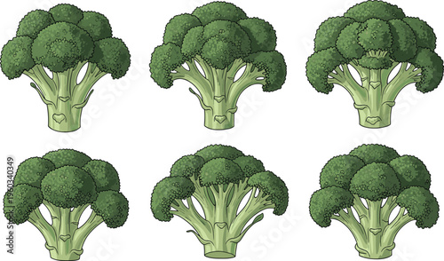 Vector, illustration, of, fresh, green, broccoli, florets, in, a, set, of, six, detailed, variations, for, healthy, nutrition, and, cooking