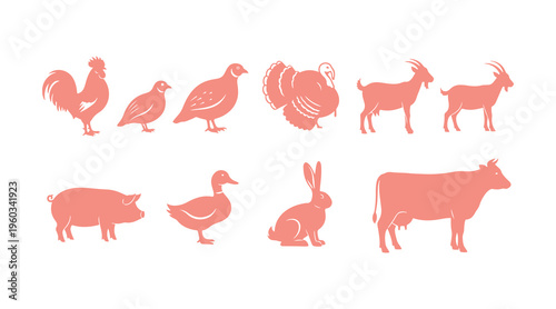 farm animal icon set includes a rooster, quail, turkey, goat, duck, hare, pig, and cow, illustrated in bright colors on a beige backdrop.
