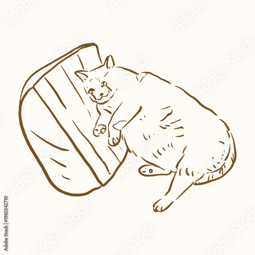 handdrawn meme of an fat cat crying