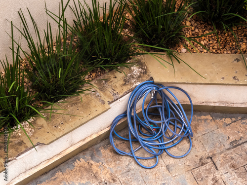Wallpaper Mural Coiled Blue Garden Hose on Concrete Patio Near Ornamental Plants and Decorative Stones, Urban Irrigation and Water Use Concept. Torontodigital.ca