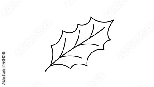 Simple black and white line drawing of a holly leaf with sharp points is an iconic symbol of the winter holiday season and Christmas.