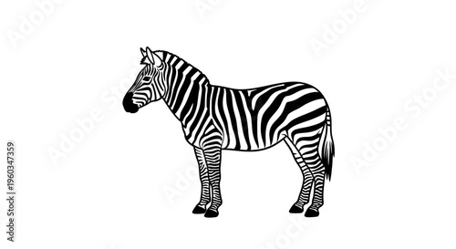Black and white zebra illustration standing sideways, featuring iconic stripes. African wildlife animal vector graphic.