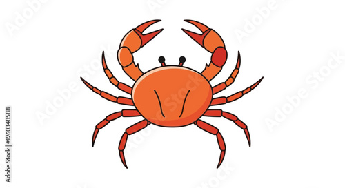 Cartoon illustration of an orange-red crab with prominent claws and legs, a marine animal, isolated on a white background, ocean wildlife art.
