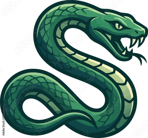 Venomous viper snake striking with open fangs