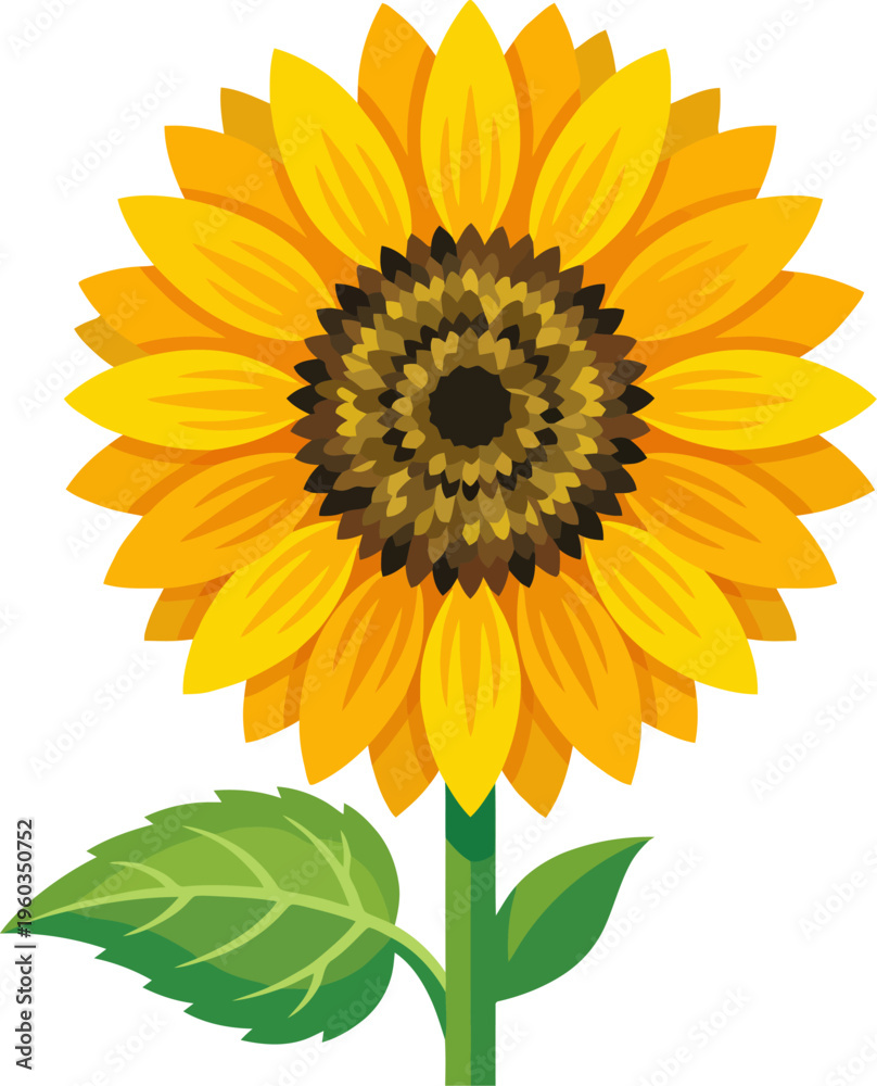 Fototapeta premium Vibrant yellow sunflower blooming with green leaf