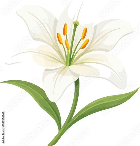 White lily flower with orange pollen and green leaves