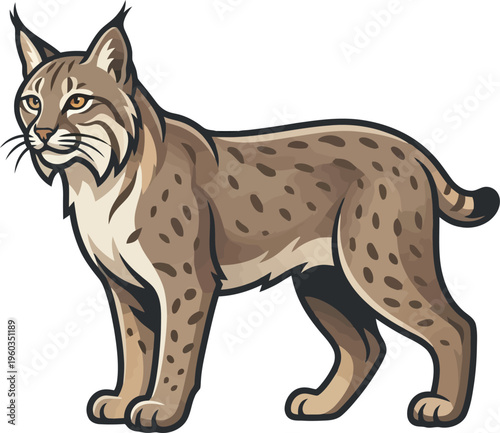 Wild lynx bobcat standing in forest environment