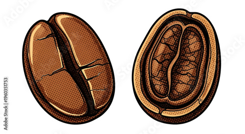 Vector illustration of coffee beans, roasted coffee bean, top view