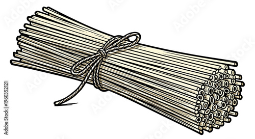 Bundle of raw dry spaghetti pasta sticks tied with a string, vector illustration of uncooked italian noodles