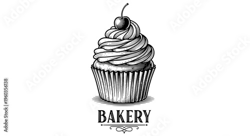 Vintage engraving style illustration of a cupcake with a cherry on top