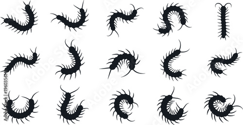 Foto Centipede and Millipede Silhouette Vector Set with Multiple Insect Poses for Bio
