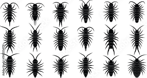 Foto Centipede and Millipede Vector Icon Set with Detailed Arthropod Silhouettes for