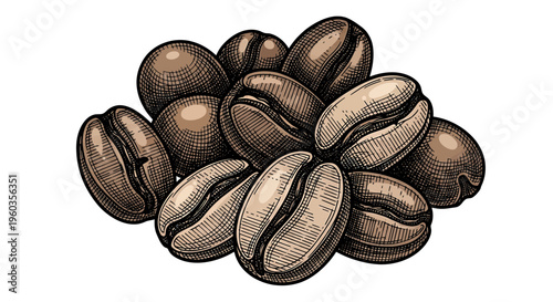 Hand drawn coffee beans pile, roasted coffee beans illustration, vintage style engraving