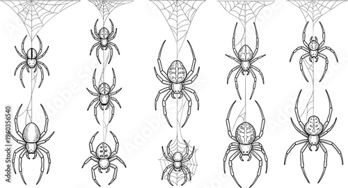 Detailed Spider Vector Set with Hanging Spiders and Web Designs for Halloween, Horror Themes, Tattoo Art, Gothic Illustrations, and Creepy Nature Graphics