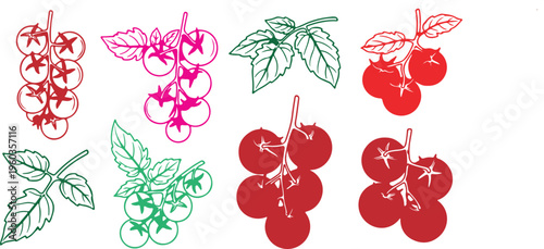 Tomato Set Outline Sketch Vector Illustration – Hand Drawn Food Elements
