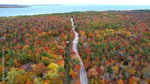 Aerial Drone View of Scenic Autumn Road Leading to Lake Vibrant Fall Foliage Landscape (Video)