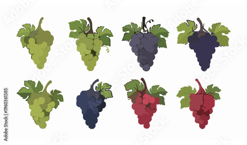 Stylized 3D wine grapes vector icons with green black and red muscatel bunches