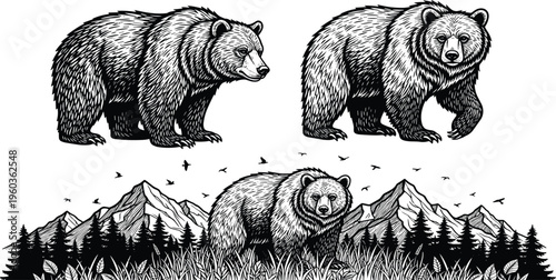 Vintage woodcut style grizzly bear illustration, wild brown bear in mountain forest landscape, majestic wildlife vector art for nature designs,