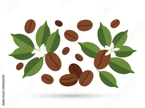 Freshly roasted coffee beans with green leaves and white blossoms, illustration