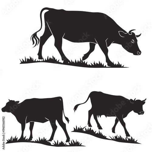 A set of black cow silhouettes walking on grass in a vector graphic illustration