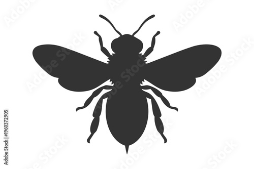 Bee illustration showing a detailed black outline of the insect