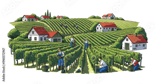 Illustration of people working in a lush vineyard with rows of green grapevines and white houses with red roofs in a rural setting.