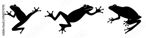 Frog silhouette set with dynamic jumping pose featuring amphibian, wildlife, motion with black and white and outline illustration