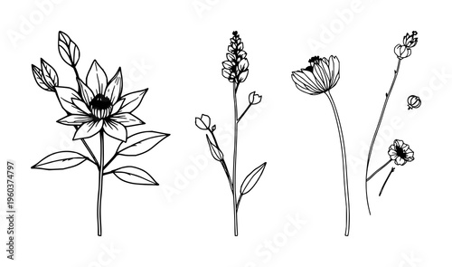 Nature wellness flora set with botanical and soothing illustration featuring plants, flowers, herbs, trees with restful color palette and natural textures