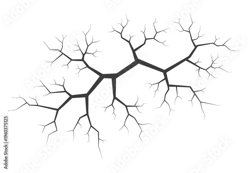 Cracked Ground Texture with Branching Lines Mimicking Tree Roots or Lightning Strikes