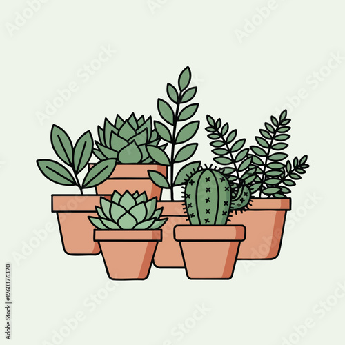 A collection of potted plants and a cactus on a light background