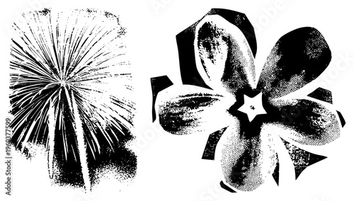 Stylized fireworks burst and abstract flower with star center, halftone texture, vector art, isolated design elements, graphic illustration.