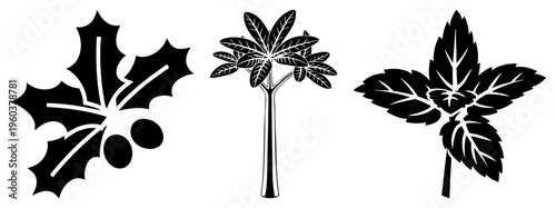 Holiday holly with berries, castor plant with leaves, mint sprig, black silhouette, flat design for seasonal or botanical themes.