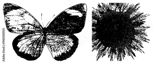 Classic black and white halftone prints of butterfly wings and sunflower head, vintage engraving style, graphic art, botanical illustration, isolated vector elements.