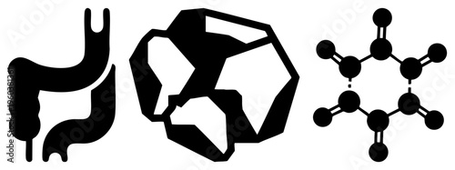 Simplified black silhouette of intestines and stomach, geometric form, ring molecular structure, vector for biology and chemistry.