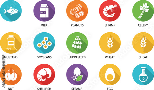 Flat food allergy icons set with common allergens including milk peanuts shrimp celery wheat eggs sesame shellfish isolated vector illustration