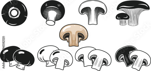 Mushroom collection vector illustration set champignon and edible fungi icons detailed food elements isolated on white background design
