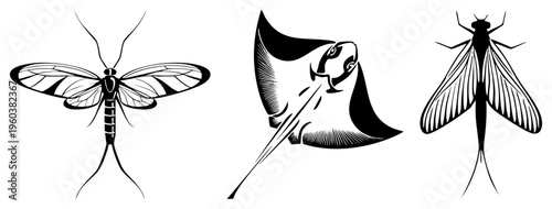 Vector illustrations of a moth, mayfly, and stingray with detailed wing veins and stylized forms, isolated on transparent background. Also includes stylized ray with halftone shading.