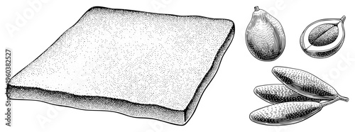 Classic halftone engraving of figs whole and halved, paired with a textured sponge pad, botanical illustration, vintage print, food art.