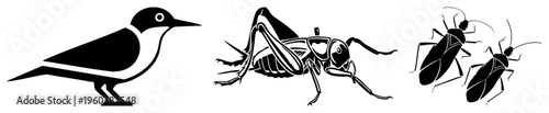 Graphic of bird, cricket, and insect species rendered in minimalist black vector art, flat design, isolated cutout, suitable for UI, branding, or educational use.