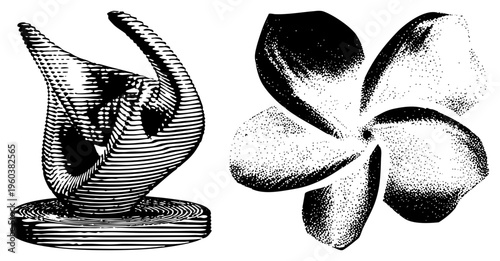 Artistic black and white halftone illustrations, abstract modern sculpture and stylized flower, graphic design elements, vintage print aesthetic, vector art.