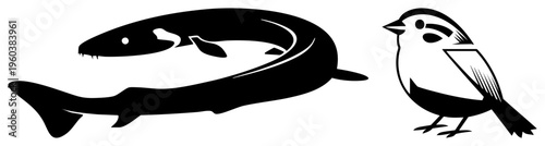 Graphic illustration of a sleek shark and a detailed sparrow, both rendered in bold black with minimal shading, suitable for branding or design projects.
