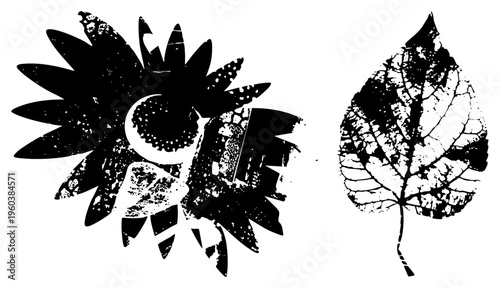 Graphic vector illustration of sunflower and leaf with textured, gritty, grunge overlay, design, botanical art, isolated elements, distressed silhouette.