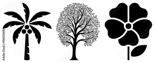 Three stylized botanical palm tree with coconuts, full canopied tree with detailed leaves, and five petal flower with stem. Flat vector design, ideal for eco, nature, or garden themes.
