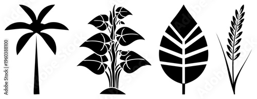 Vector botanical symbols including palm tree, banana plant, leaf, wheat stalk, flat design, isolated graphics, nature set, agriculture motifs.